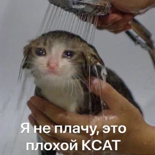 Стикер ДТП - 8