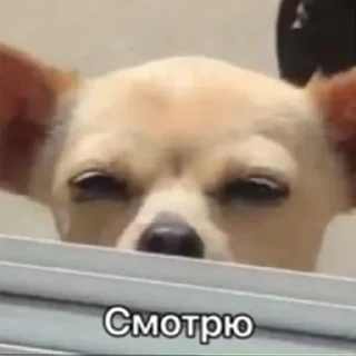 Стикер ДТП - 4