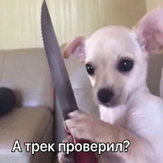 Стикер ДТП - 2