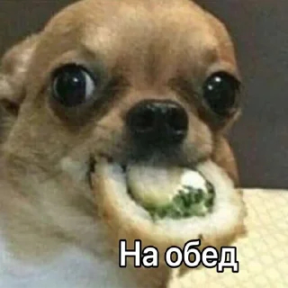 Стикер ДТП - 11