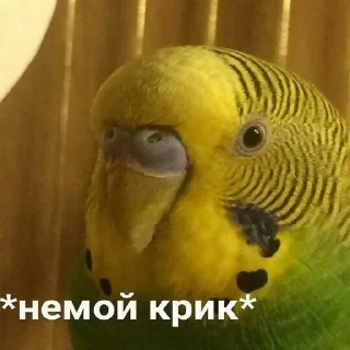 Стикер ДТП - 6