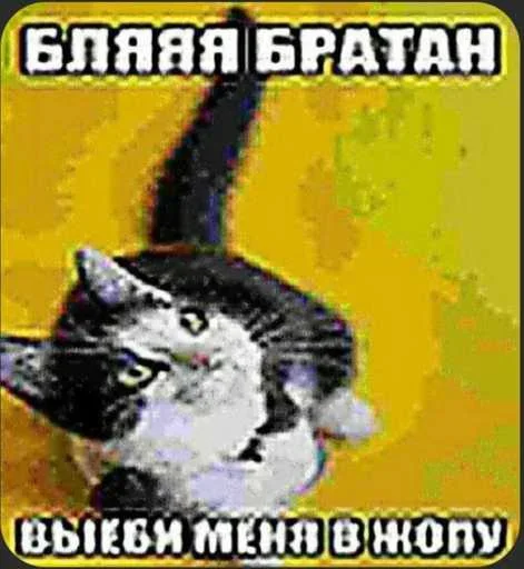 Больше стиков тут: @stikery4 - 