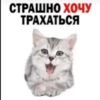 Sticker Больше стиков тут: @stikery4 - 10