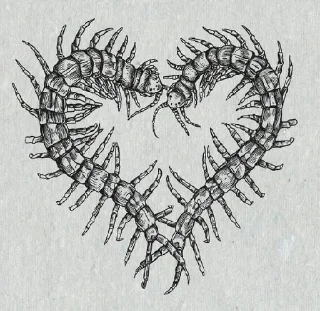 Sticker 𝚍𝚞𝚋𝟶𝚜𝚑𝟷𝚝 .𝟹 - 11