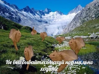 Sticker 5x5_ap_draka - 11