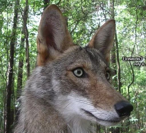 Стикер dumbassyotes - 1