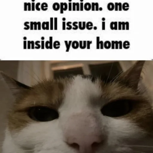 Sticker dumbmoment - 1