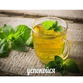 Стикер Шалабуда - 10