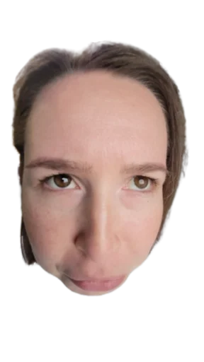 Sticker dumfaces - 1