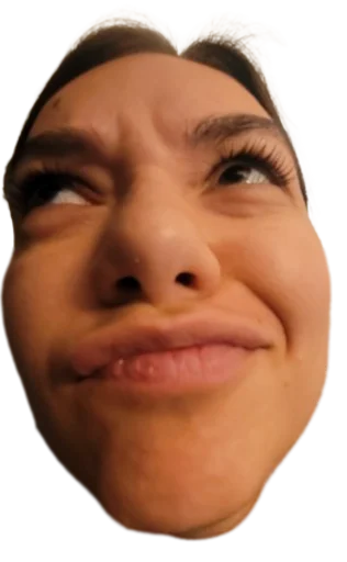 Sticker dumfaces - 1