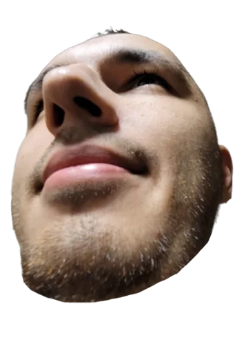 Sticker dumfaces - 1