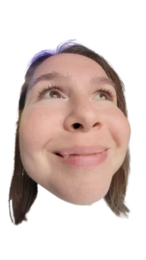 Sticker dumfaces - 1