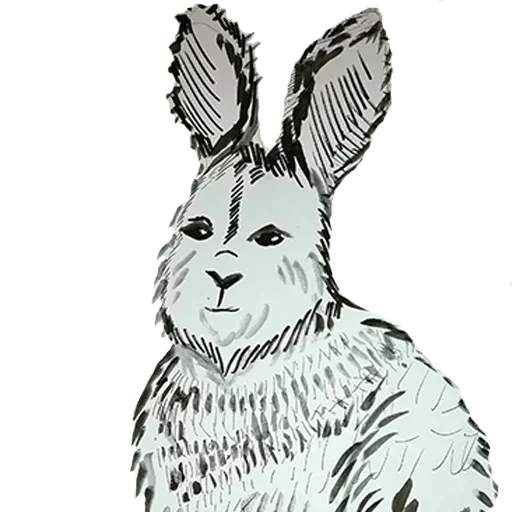 Sticker dunno_lol - 1