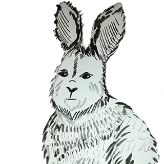 Sticker Dunno lol - 11