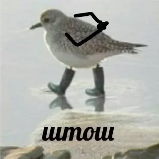 Sticker Dunno lol - 7