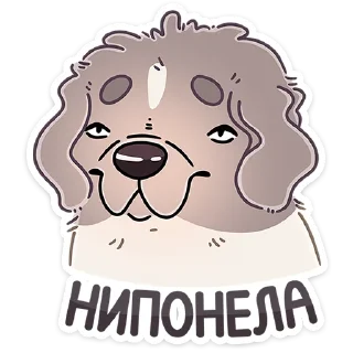 Sticker Дуняша • @TgSticker - 6