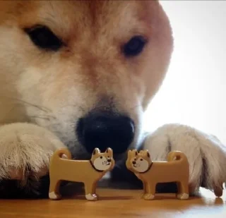 Sticker дурка эбатъ pt. 2 - 0