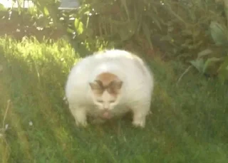 Sticker дурка эбатъ pt. 2 - 1