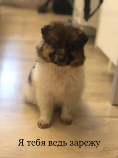 Sticker 𑀐γρӄα χσγϲ - 9