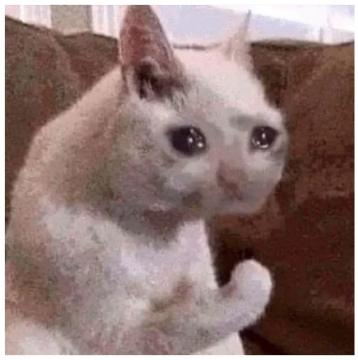 Sticker durkaeeebat - 1