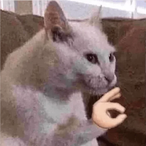 Sticker durkaeeebat - 1