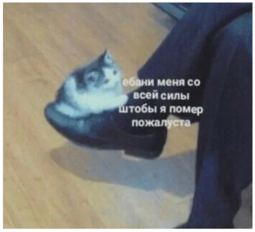 Sticker durkaeeebat - 1