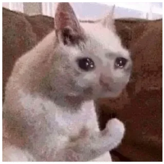 Стикер сборная солянка - 6