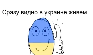 Стикер сборная солянка - 8