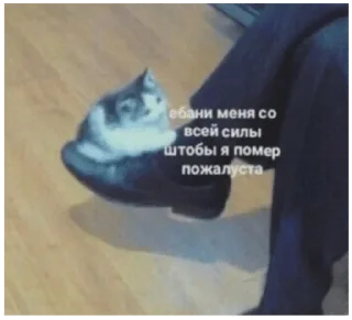 Стикер сборная солянка - 1