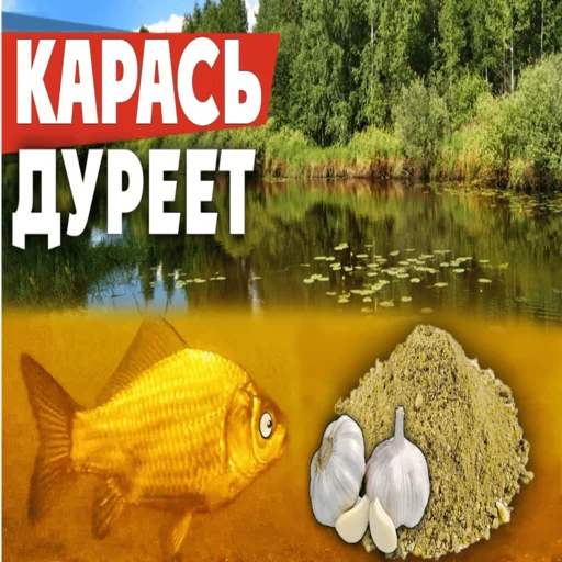 КАРАСЬ ДУРЕЕТ - 