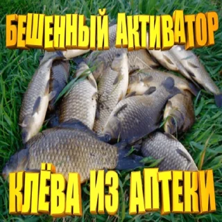 Стикер КАРАСЬ ДУРЕЕТ - 4