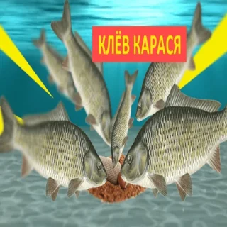 Стикер КАРАСЬ ДУРЕЕТ - 2