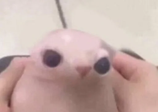 Sticker душістая піся♡ :: @fStikBot - 11