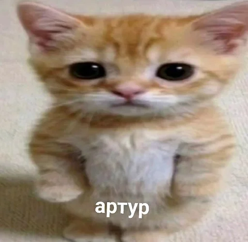 Sticker душістая піся♡ :: @fStikBot - 7