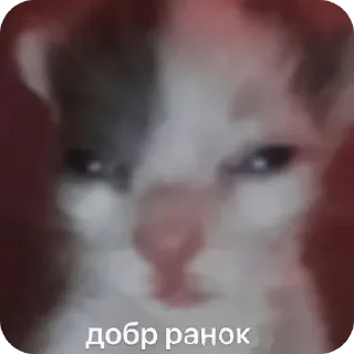 Sticker Душні Пікчі - 1