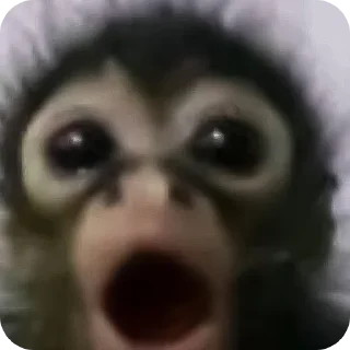 Sticker Душні Пікчі - 8