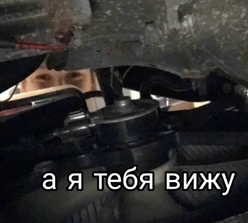 Sticker duskwoodeex - 1