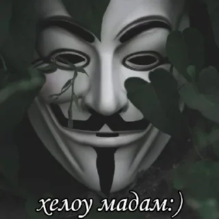 Sticker Дасквуди - 11