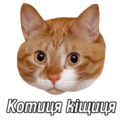 Sticker duzhekrute - 1