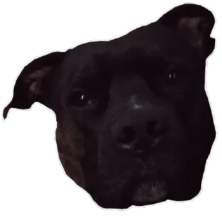 Стикер Дуже круте - 11