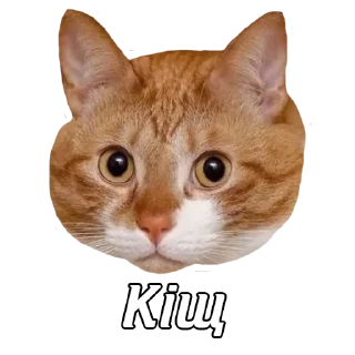 Стикер Дуже круте - 10