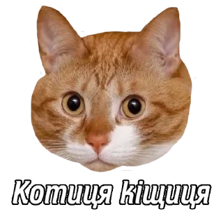 Стикер Дуже круте - 7