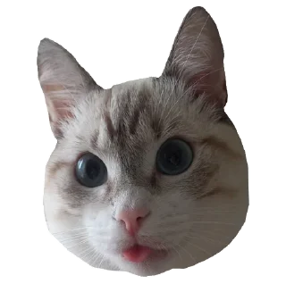 Стикер Дуже круте - 2