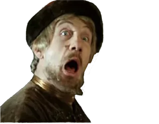 животное кошка кошки малого и среднего размера