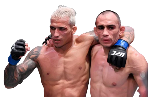 Sticker dvoechkamma - 1