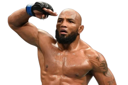 Sticker dvoechkamma - 1