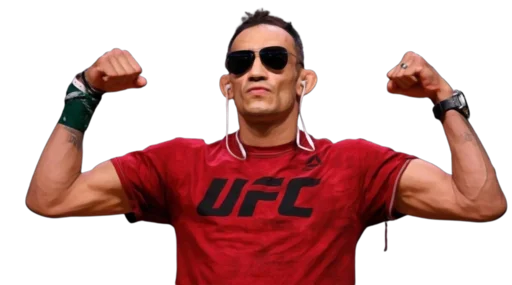 Sticker dvoechkamma - 1