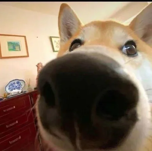 Больше стиков тут: @stikery4 - 