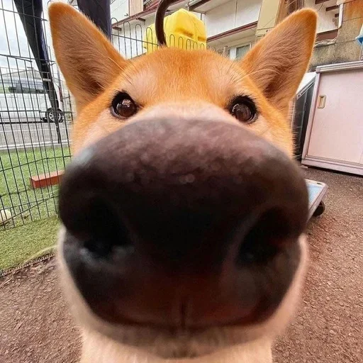 Sticker dwcSfjl_by_achestickbot - 1