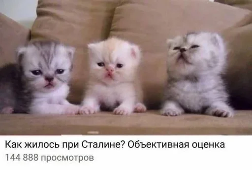 Sticker dwcSfjl_by_achestickbot - 1